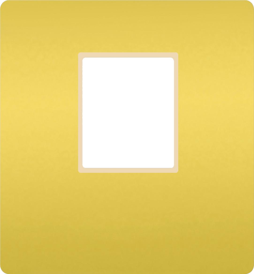  артикул FD04317OB-A название FEDE Светлое золото/ Беж. Монт. плата для 1-го инф. разъема RJ-45 Bright Gold (Oro Brillo)