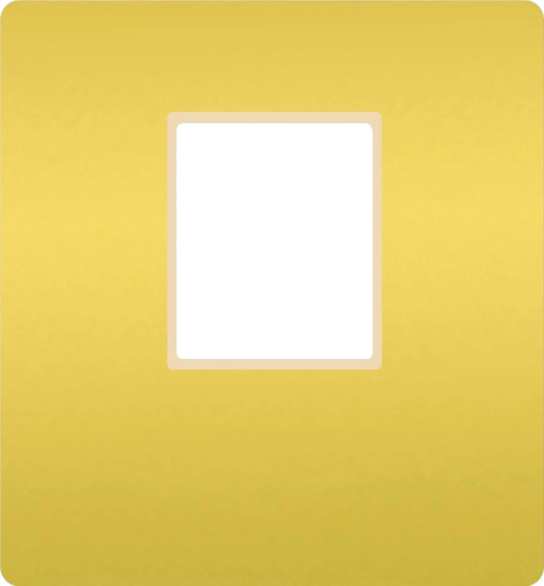  артикул FD04317OB-A название FEDE Светлое золото/ Беж. Монт. плата для 1-го инф. разъема RJ-45 Bright Gold (Oro Brillo)