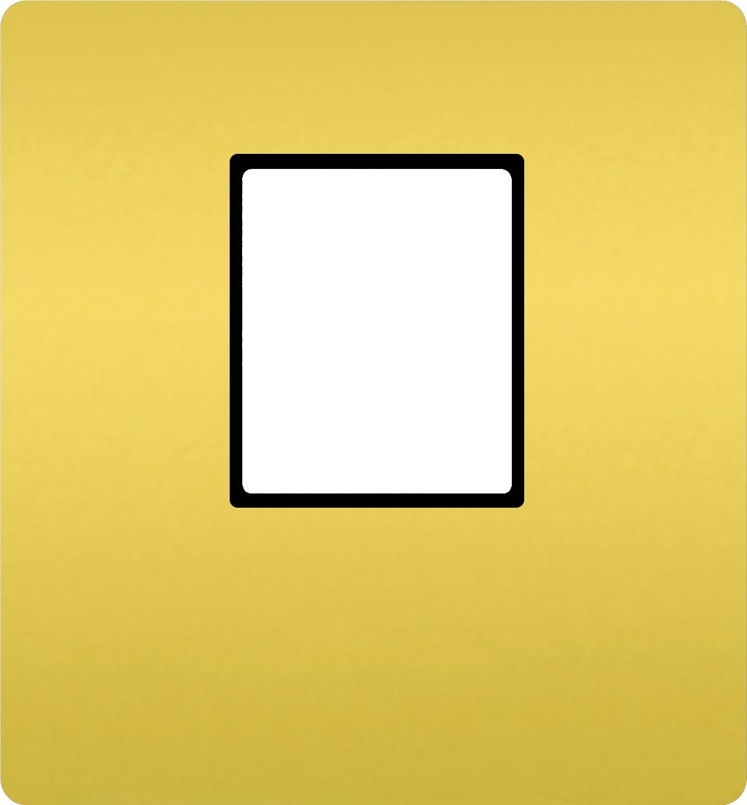  артикул FD04317OB-M название FEDE Светлое золото/ Черн. Монт. плата для 1-го инф. разъема RJ-45 Bright Gold (Oro Brillo)